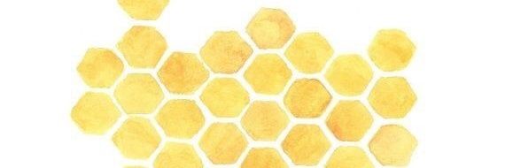 springbreezey's profile banner image