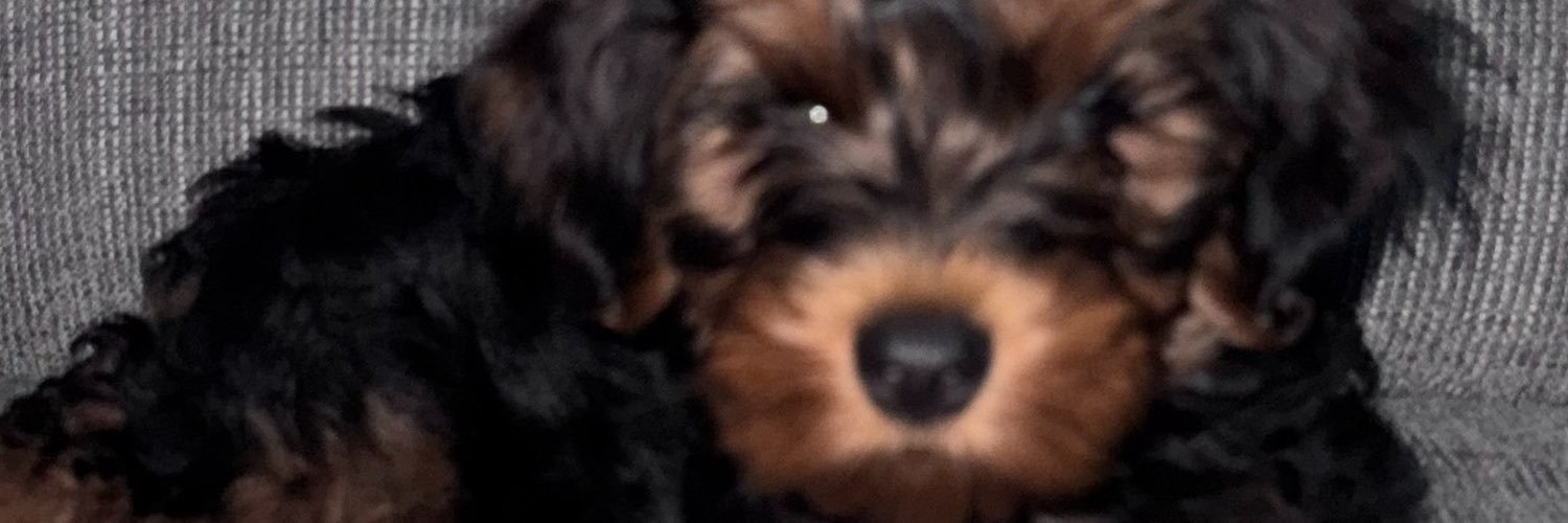 kentherula's profile banner image