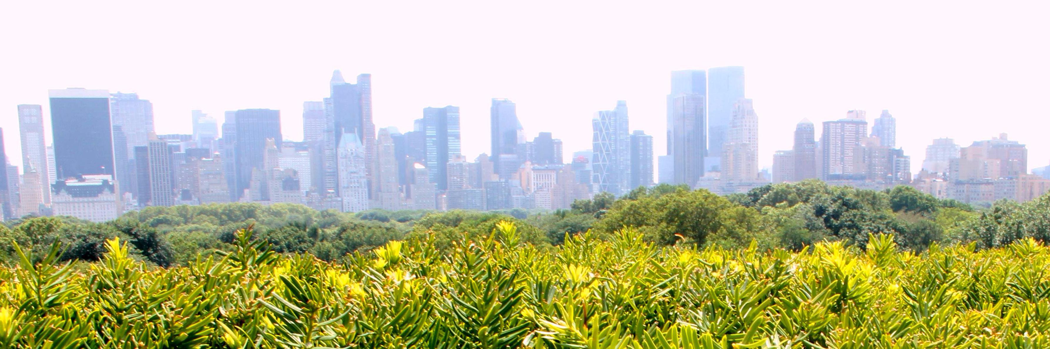 peterstebe's profile banner image