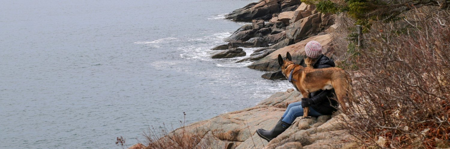 erin911's profile banner image