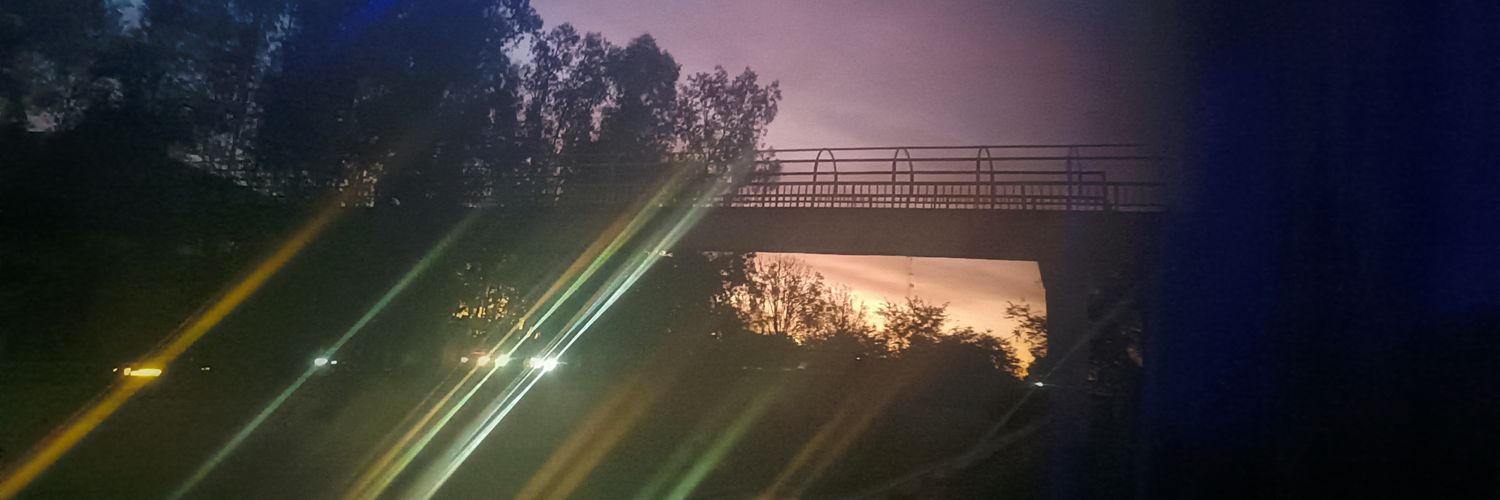 IlsiRamos's profile banner image