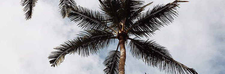 SebastianMu12's profile banner image