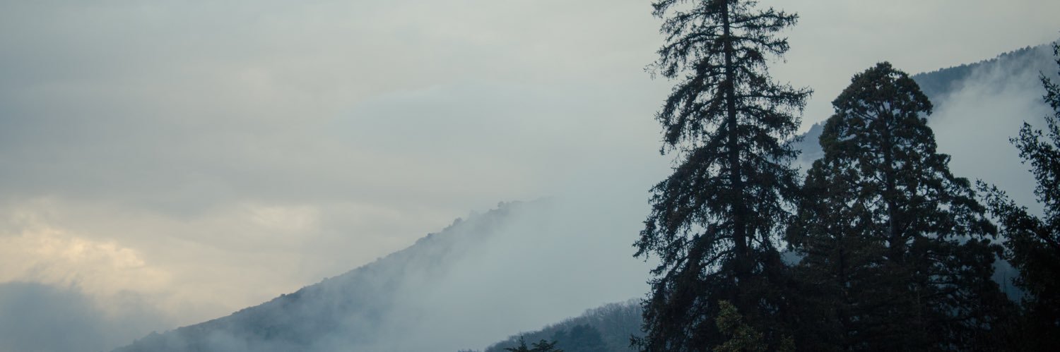 beapedia's profile banner image