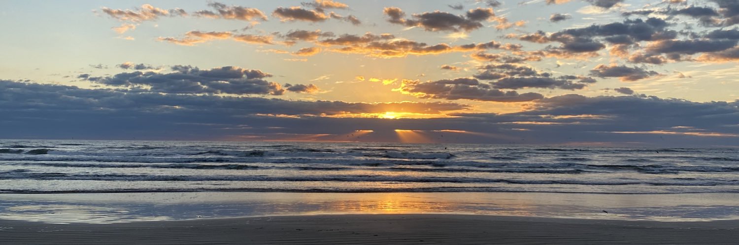 ashlynnlemoos's profile banner image