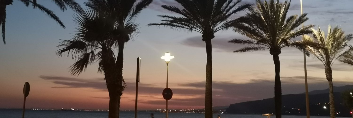 Lauradosemes's profile banner image