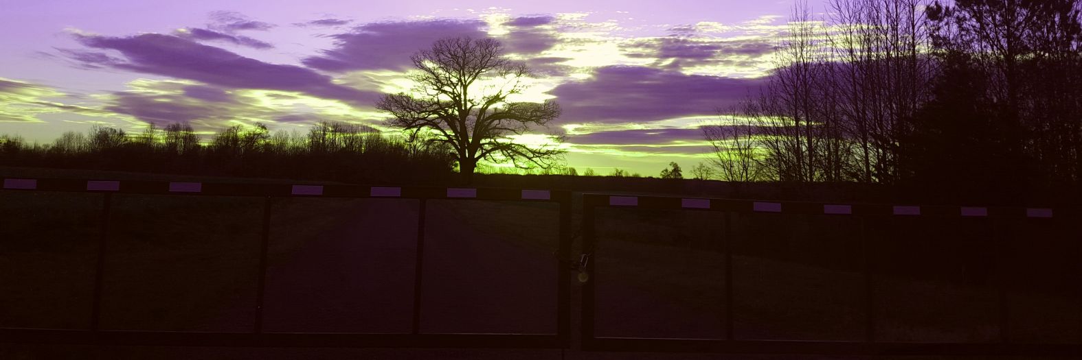 Clarkyg11's profile banner image