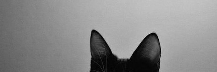 canyonlwt's profile banner image