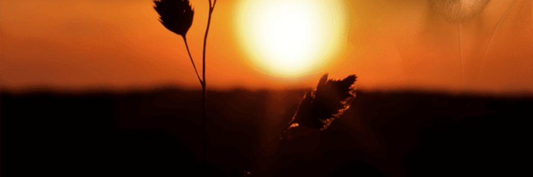 FrancoCendan's profile banner image