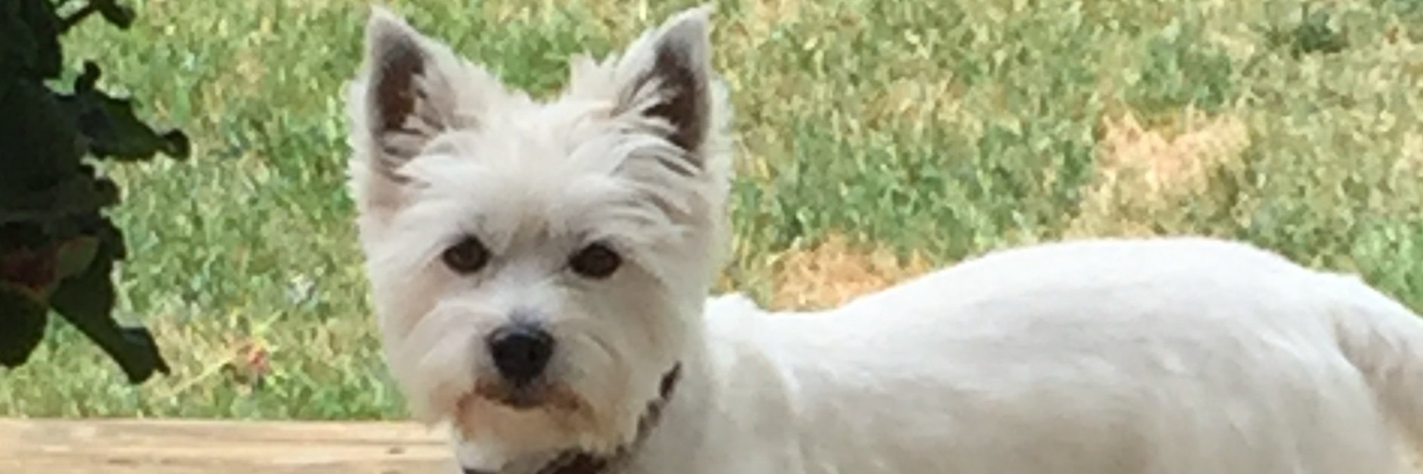 KateJackdon's profile banner image
