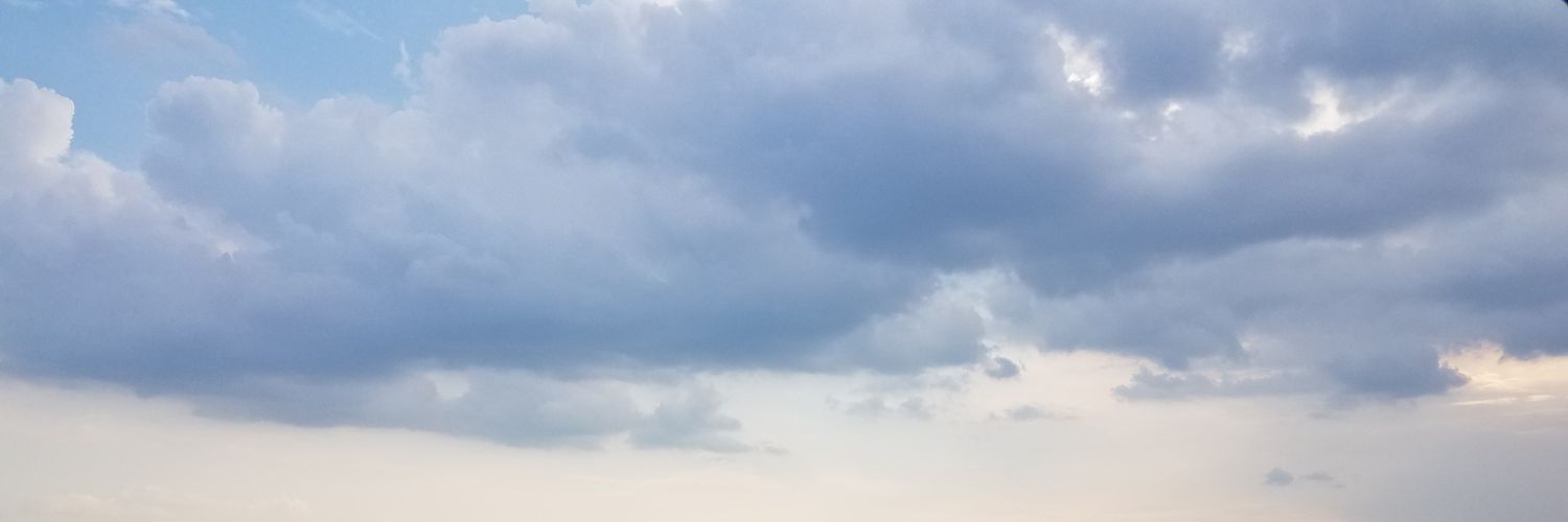 PeterSkylight banner