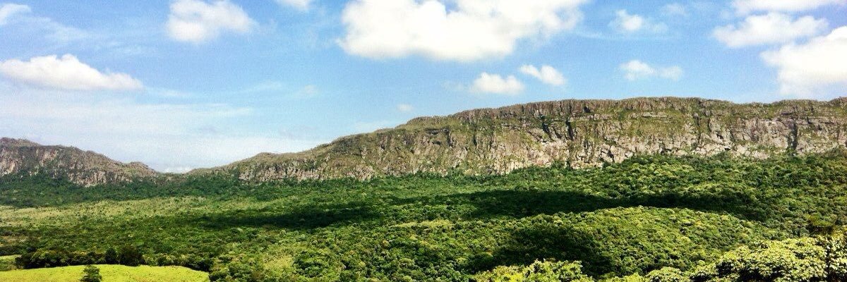 luana_hlopes's profile banner image