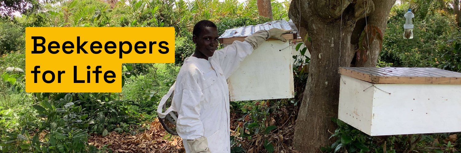 BeesAbroad's profile banner image