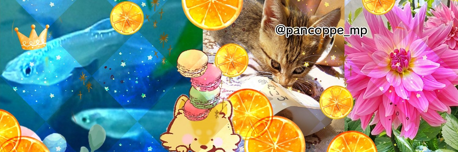 pancoppe_mp's profile banner image