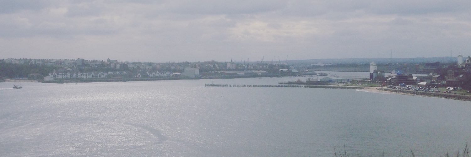 Daniel Collins banner