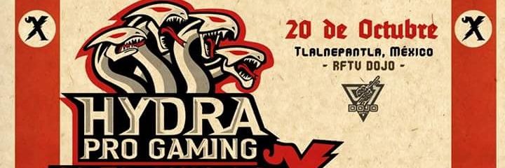 HydraProGaming's profile banner image