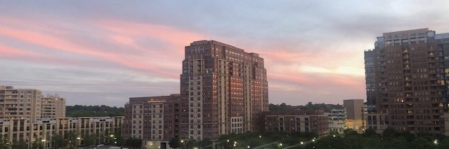 Loyal but aging Democrat banner