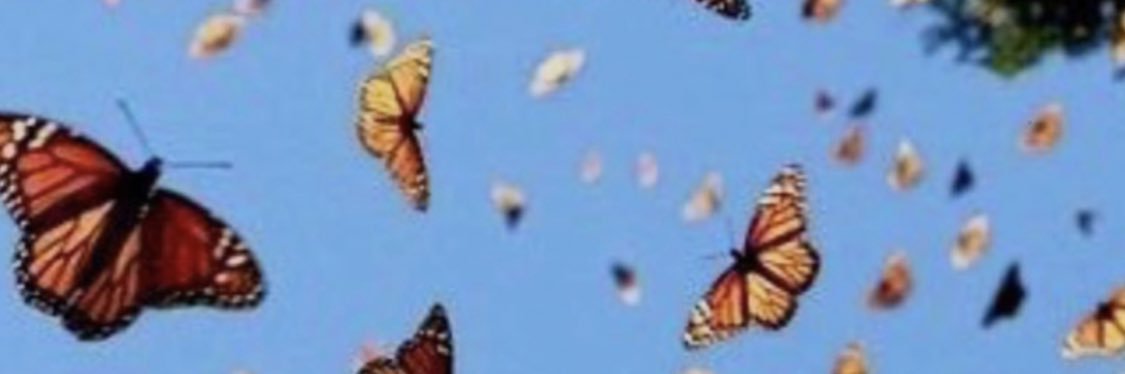 ACE100_'s profile banner image