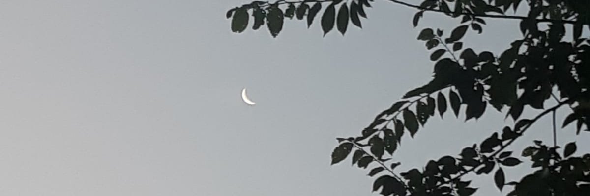 jmiranda272's profile banner image