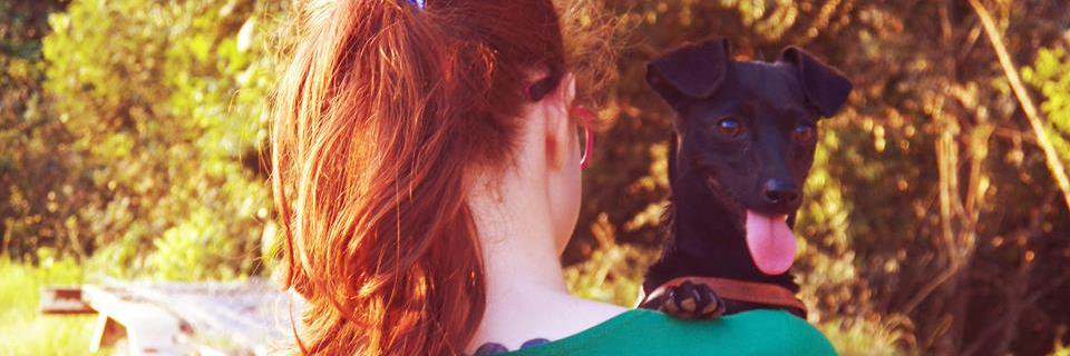 LallyZwetzch's profile banner image