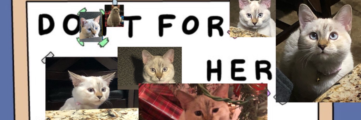 dreambeyondalex's profile banner image