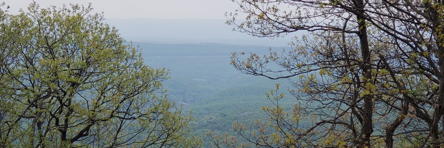 Jerryatrick88's profile banner image