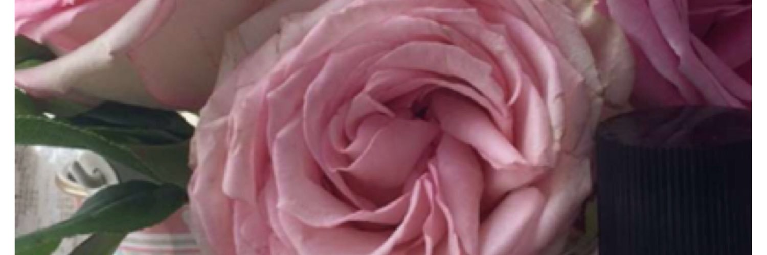 queen_sheba305's profile banner image