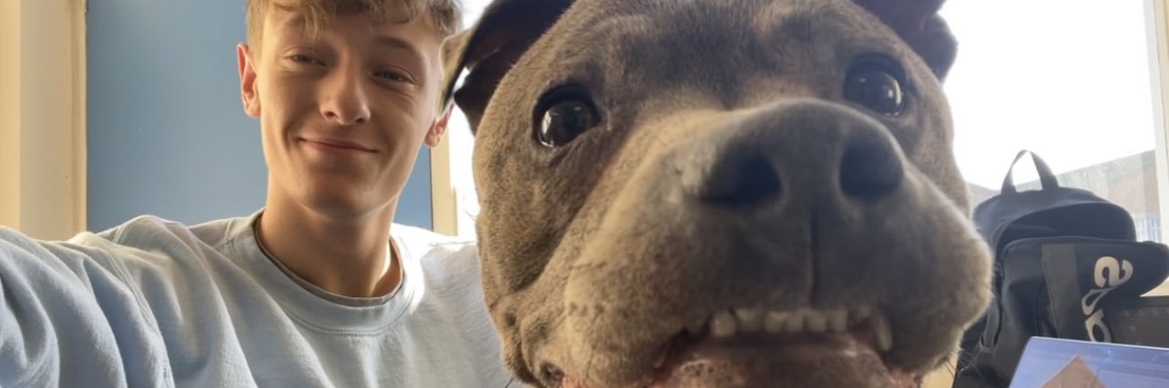 Dan 🤪 banner