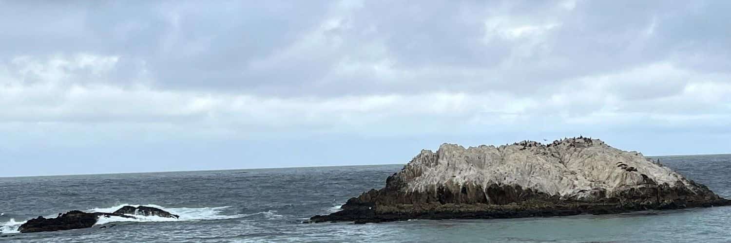 daniellekate728's profile banner image
