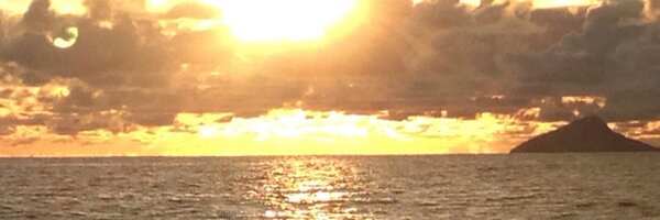 rognecco Profile Banner