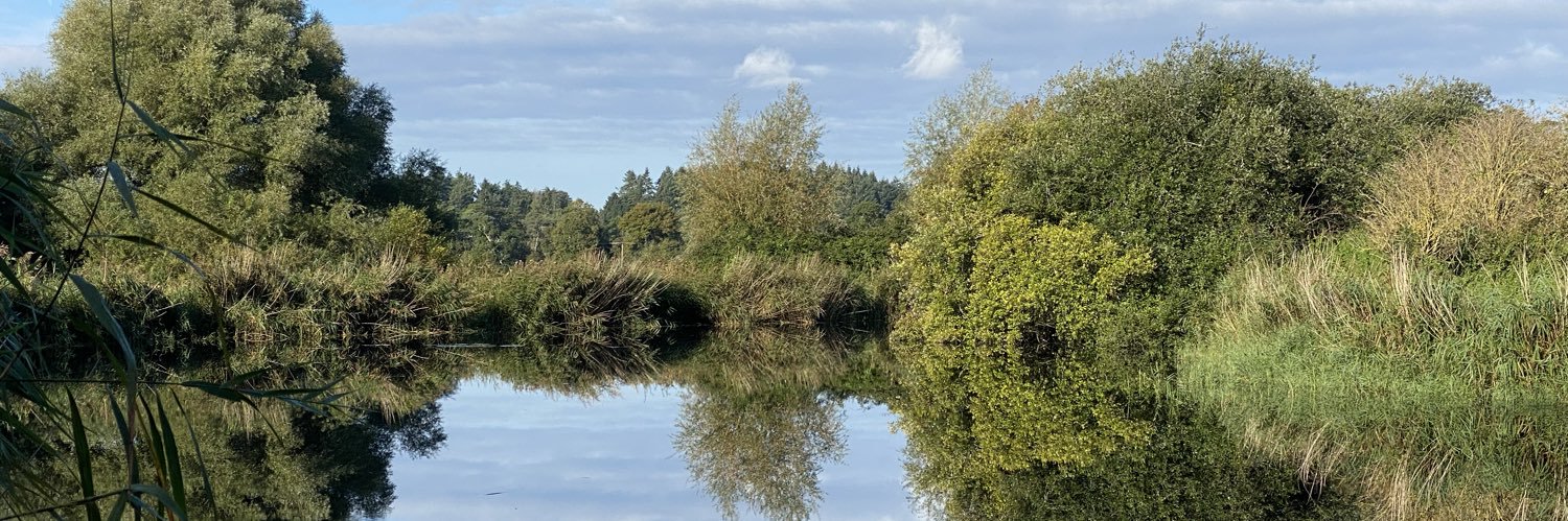 WilfredsFishing's profile banner image