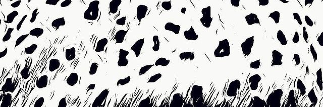 seelvahnah's profile banner image