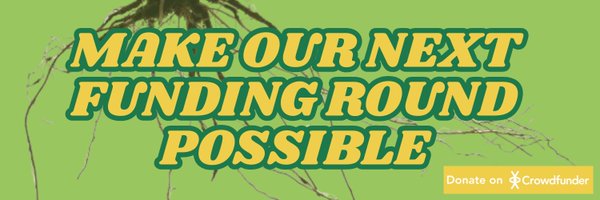 theedgefund Profile Banner