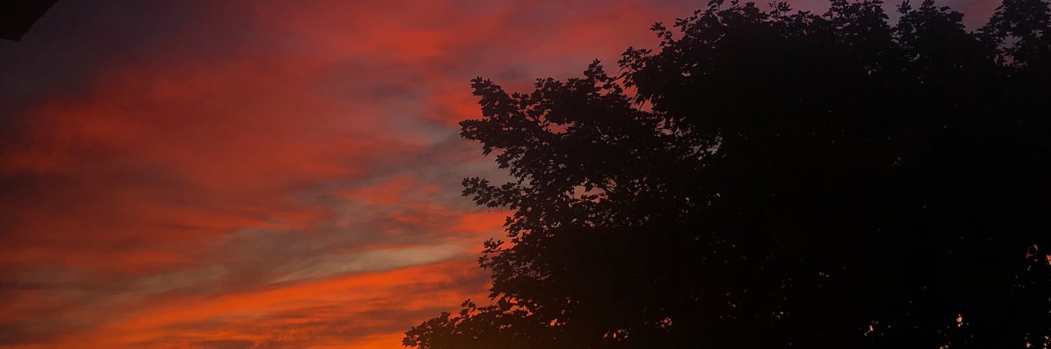 madikhatfield's profile banner image