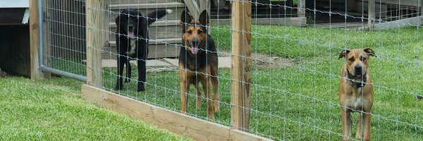 smartass__eric Profile Banner