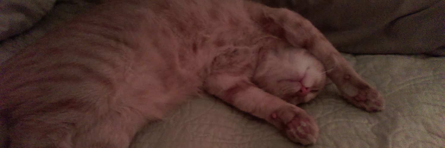 David Mueller banner