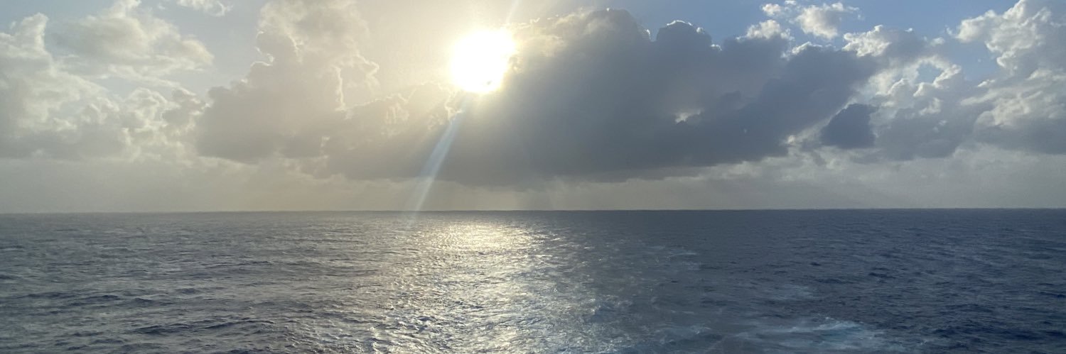 mariamarincm's profile banner image