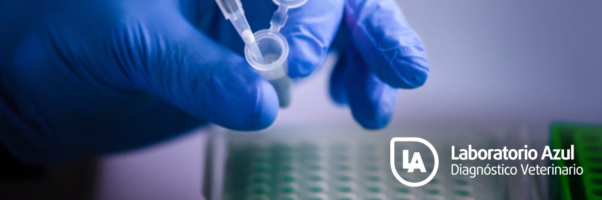 LaboratorioAzul's profile banner image