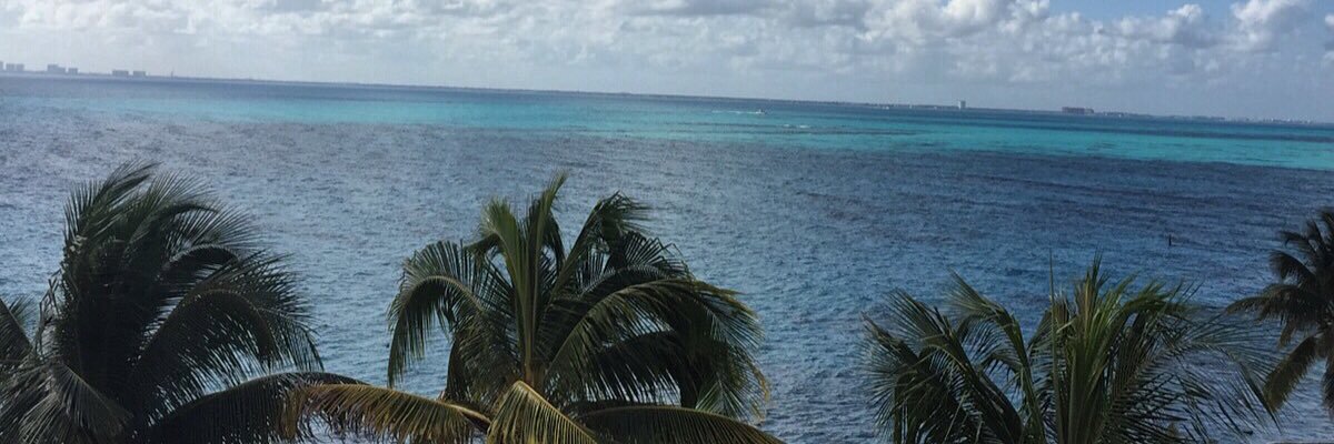 ElleSixsmith's profile banner image