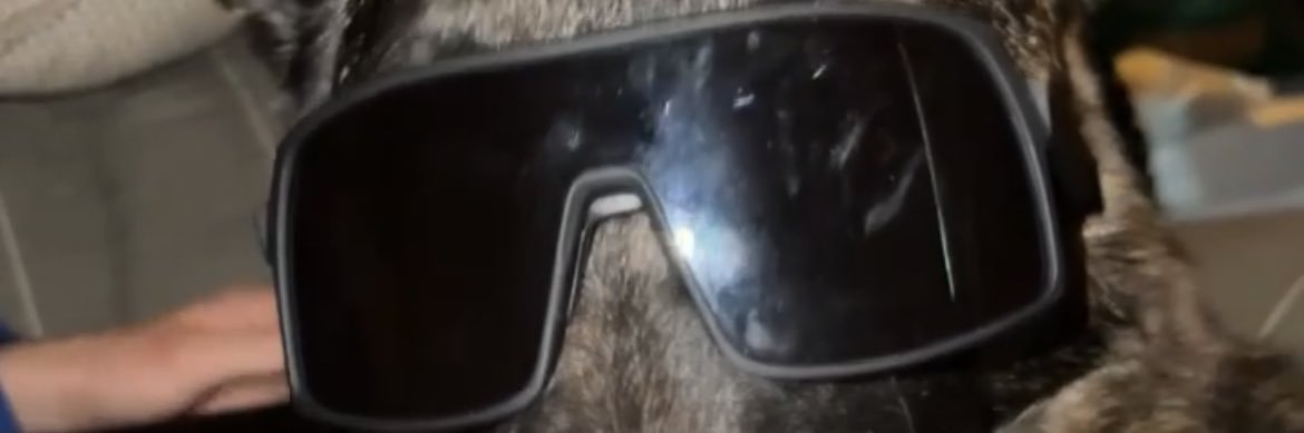 cartersonthebus's profile banner image