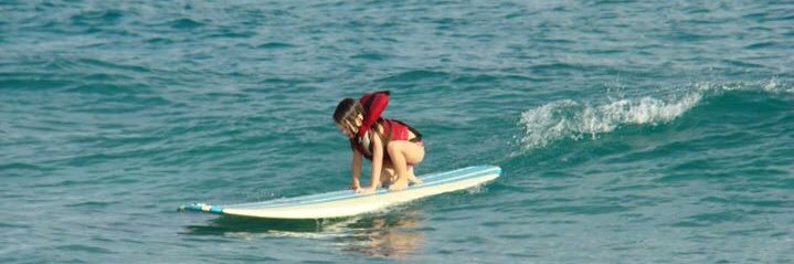 turtleboards's profile banner image
