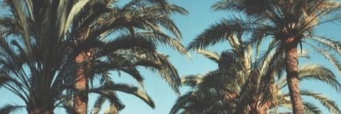 Sanne banner