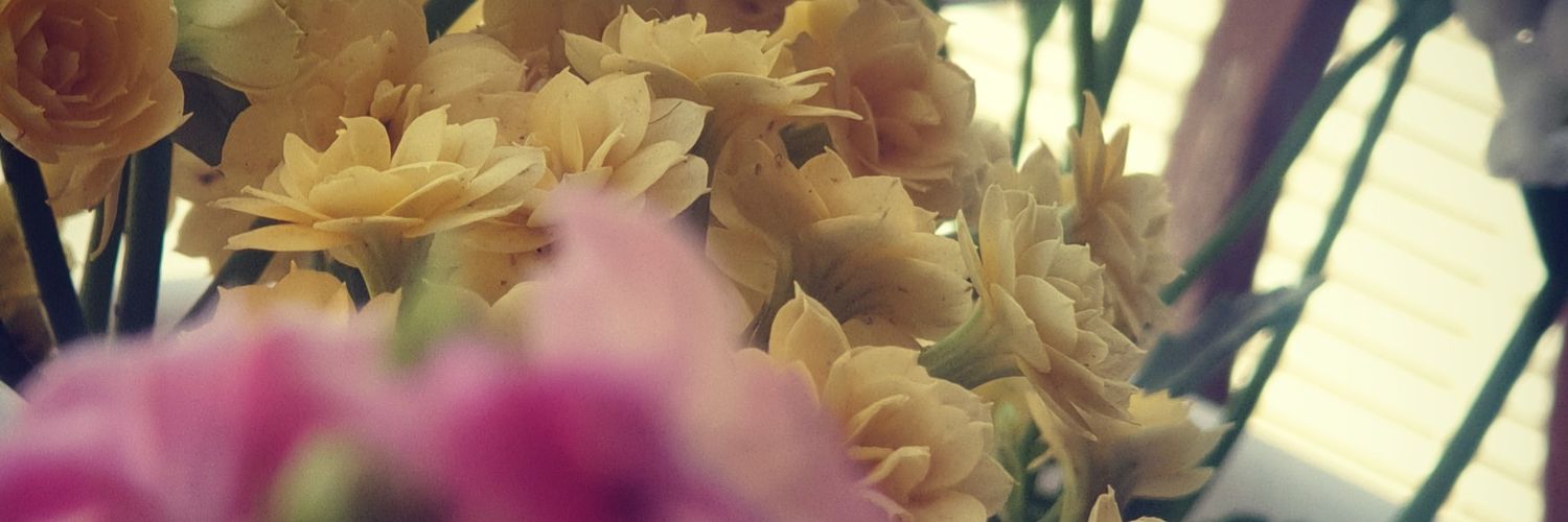 alrashed2580's profile banner image