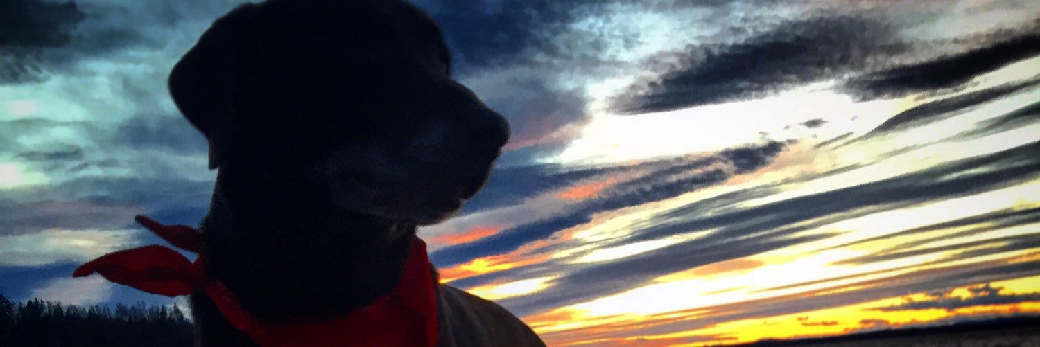 DoolanJosh's profile banner image