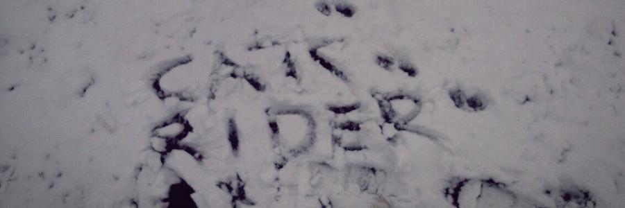 DimasBudiSatya's profile banner image