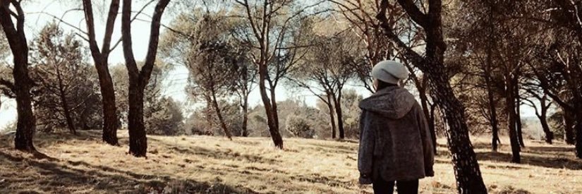 elenagsg's profile banner image