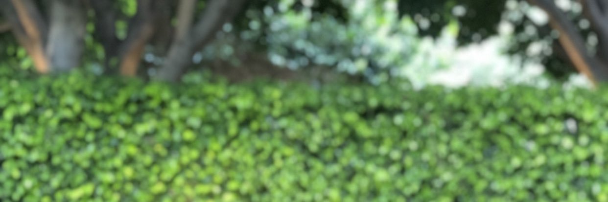 SillaMoonlight's profile banner image