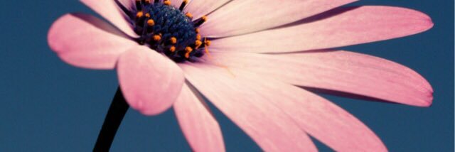 RBestEDU's profile banner image