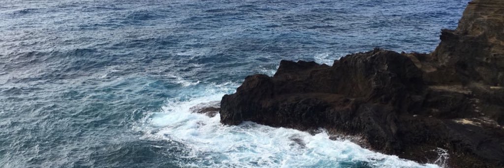 Danni_Reeino's profile banner image