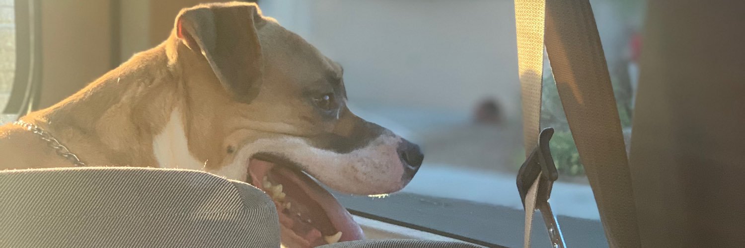 iameleazarg's profile banner image