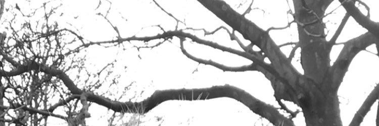 MarCardaLpez's profile banner image